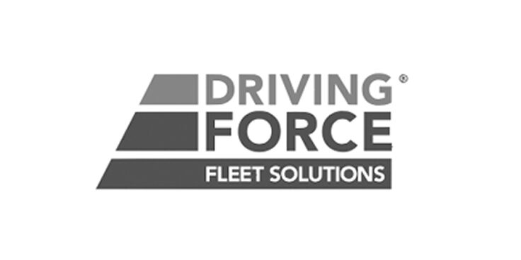 Logo des solutions de parc Driving Force.