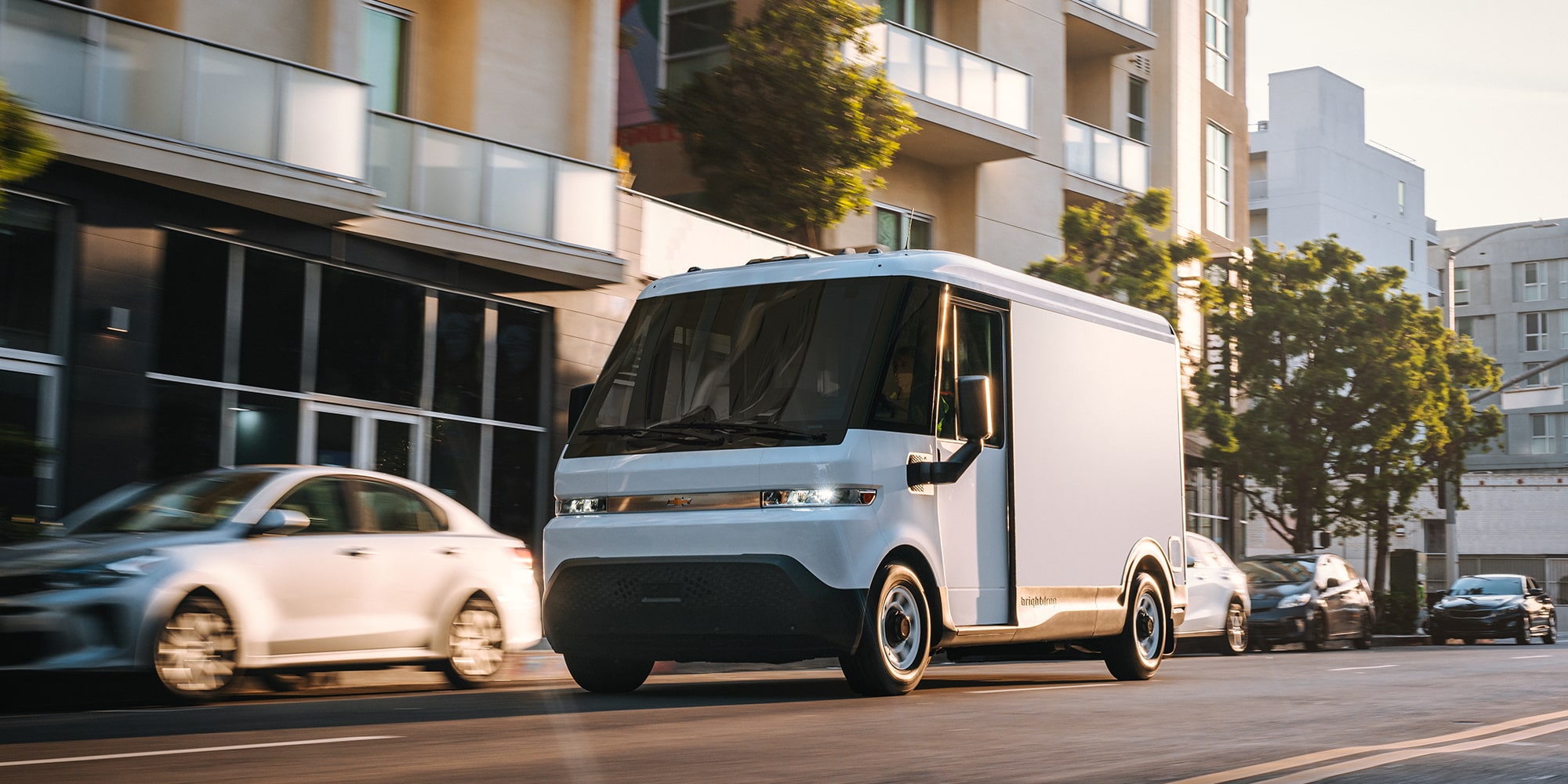 A driver delivers a package in a residential area.