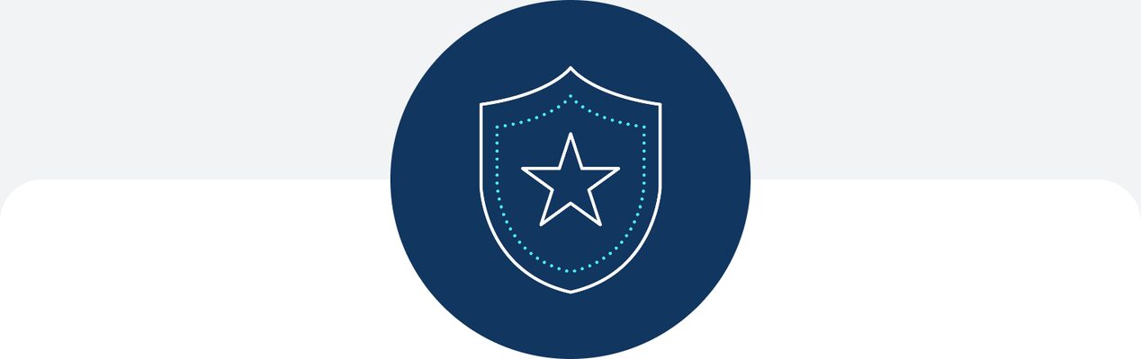 An icon displaying a shield with a star in the middle.